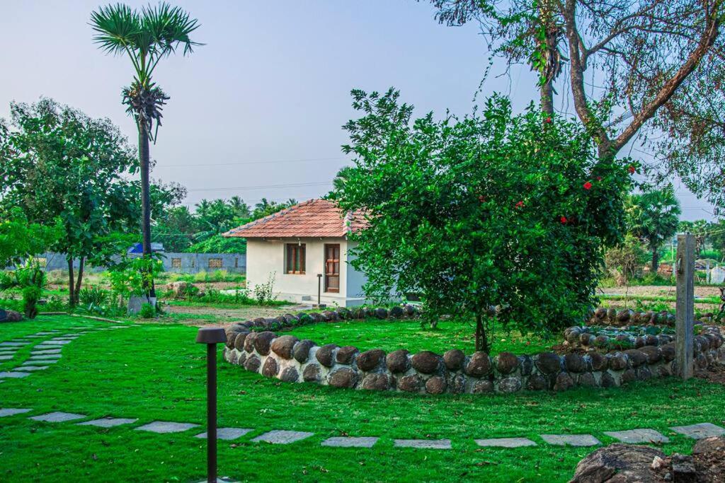 Holy Mountain Villa - Tiruvannāmalai Esterno foto